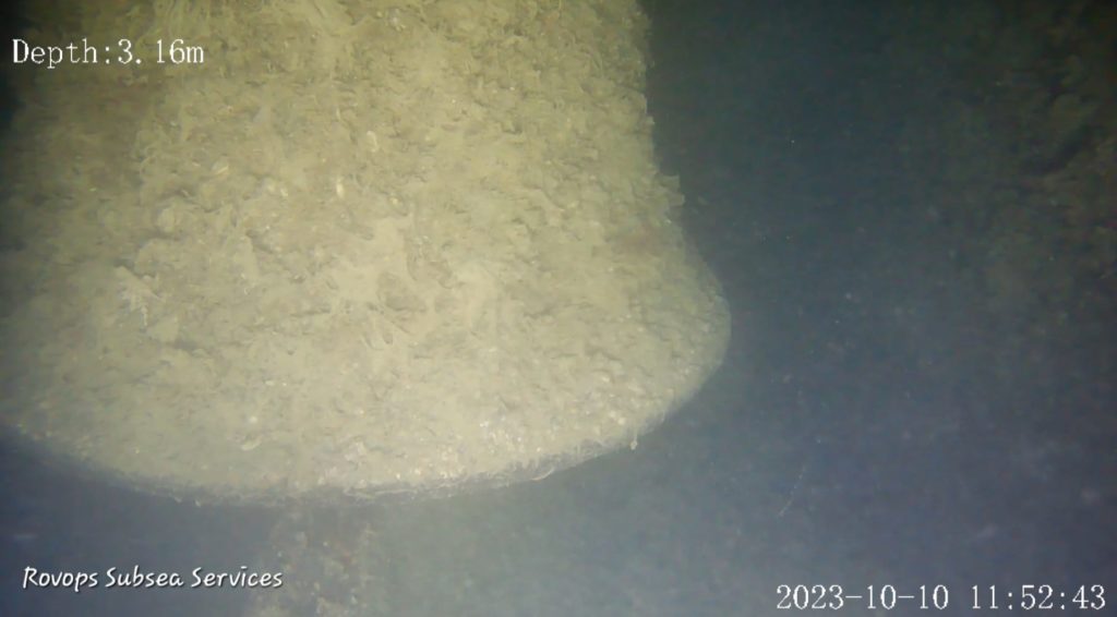 Power Plant Bay Internal Fin Inspection By 2D Imaging Sonar